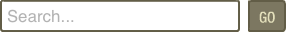 Search Tool
