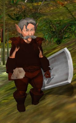Leather Armor