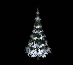 Snowy Pine Tree