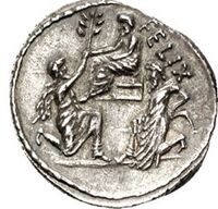 Sula denarius