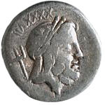 Gaius asinius