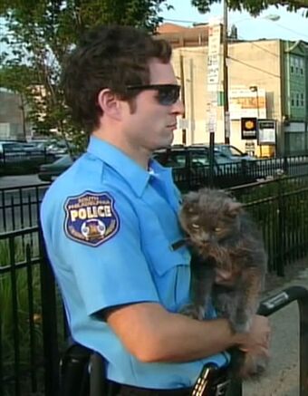 Jack Bauer It S Always Sunny In Philadelphia Wiki Fandom