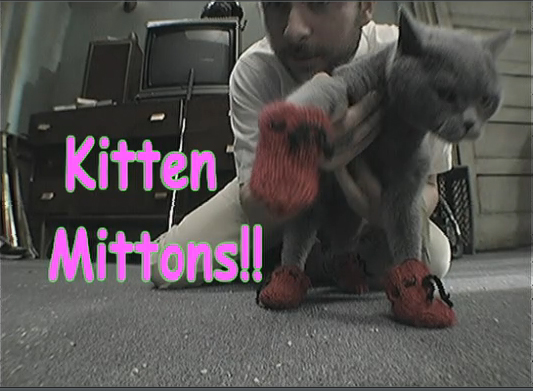 Kitten Mittens | It's Always Sunny in Philadelphia Wiki | FANDOM