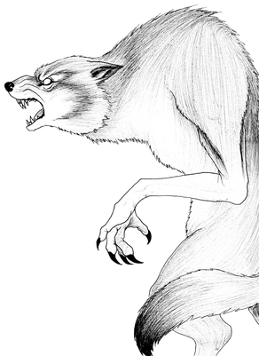 Image506