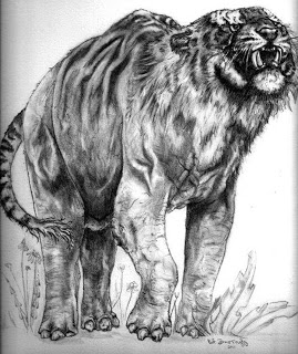 -141 Elephantiger