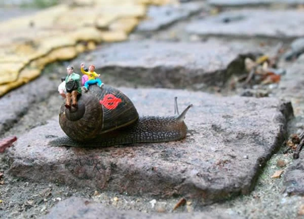 Kickle Snifter | It's Something Wiki | Fandom