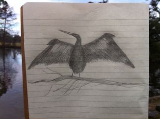 Photodrawing