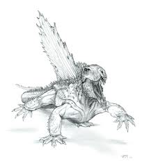 Rvm