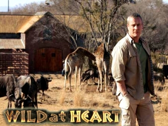 wild at heart (mexican tv series cast)