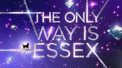 TOWIEssex-Wikia Banner 001