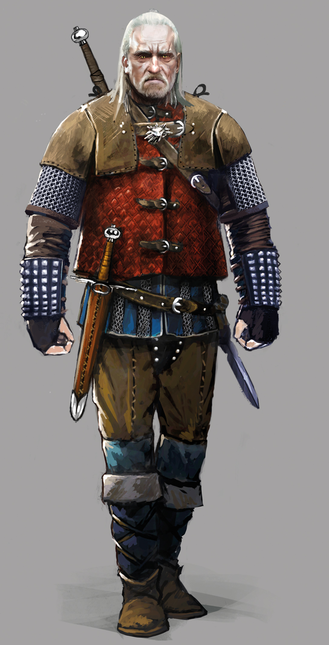 the witcher vesemir the witcher vesemir