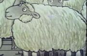 Ivor the engine sheep