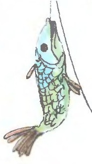 Рыба Крокс