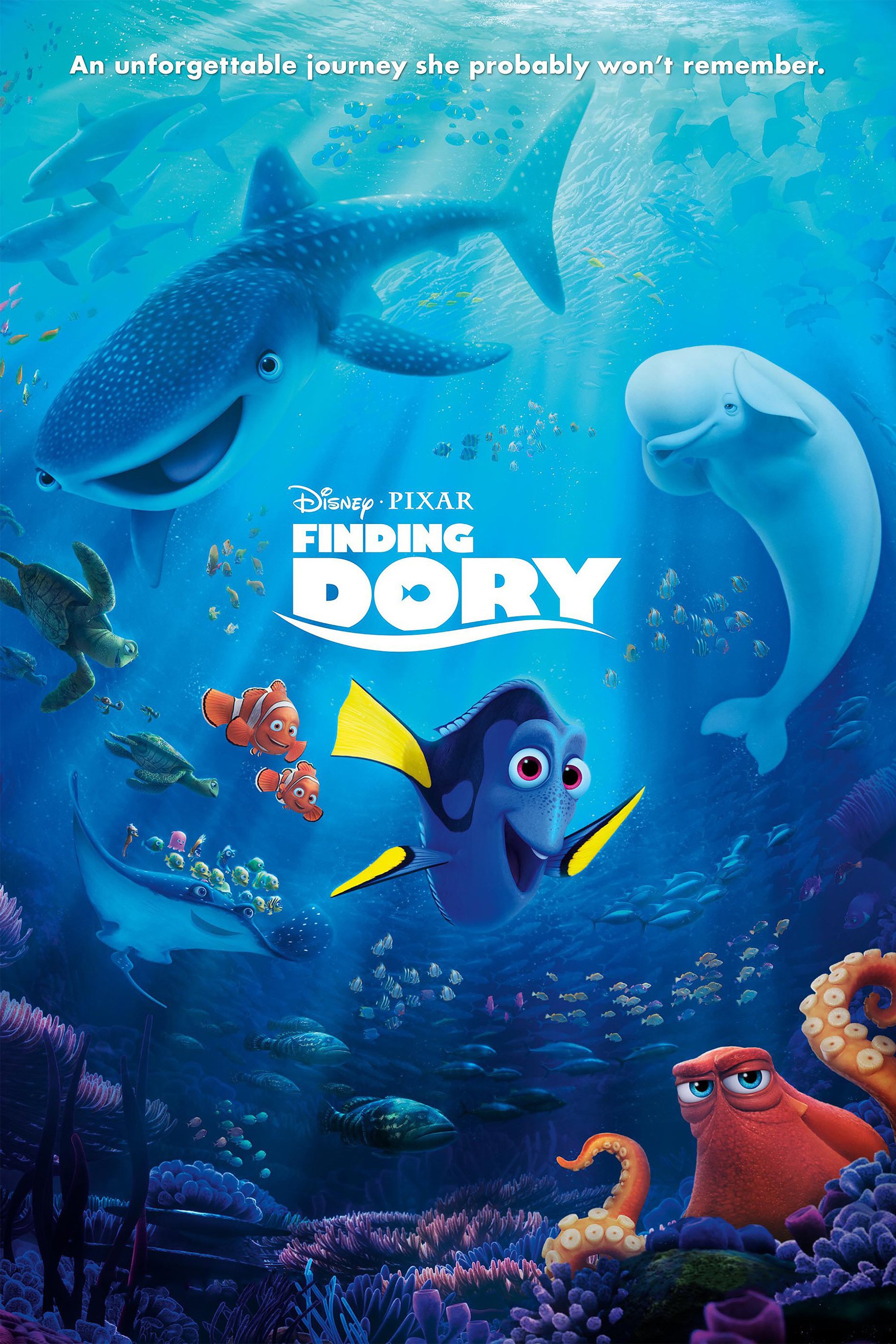 Finding Dory Jack Millers Webpage Of Disney Wiki FANDOM Powered Finding Dory Jack Millers Webpage Of Disney Wiki FANDOM Powered