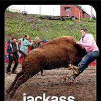 Jackass 3d Jackass Wiki Fandom