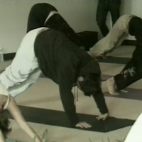 Yoga Class Jackass Wiki Fandom