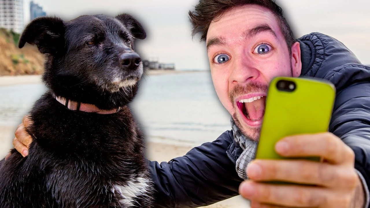 4 ANIMAL GAMES, 1 VIDEO 2 Jacksepticeye Wiki FANDOM powered by Wikia