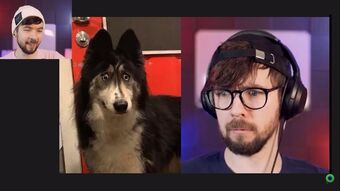 Meme Time Jacksepticeye Wiki Fandom