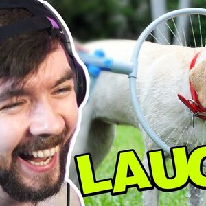 List Of Videos 2020 Jacksepticeye Wiki Fandom