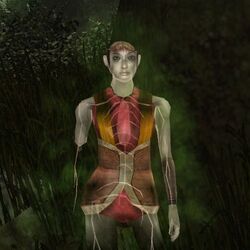 ZitherGhost1