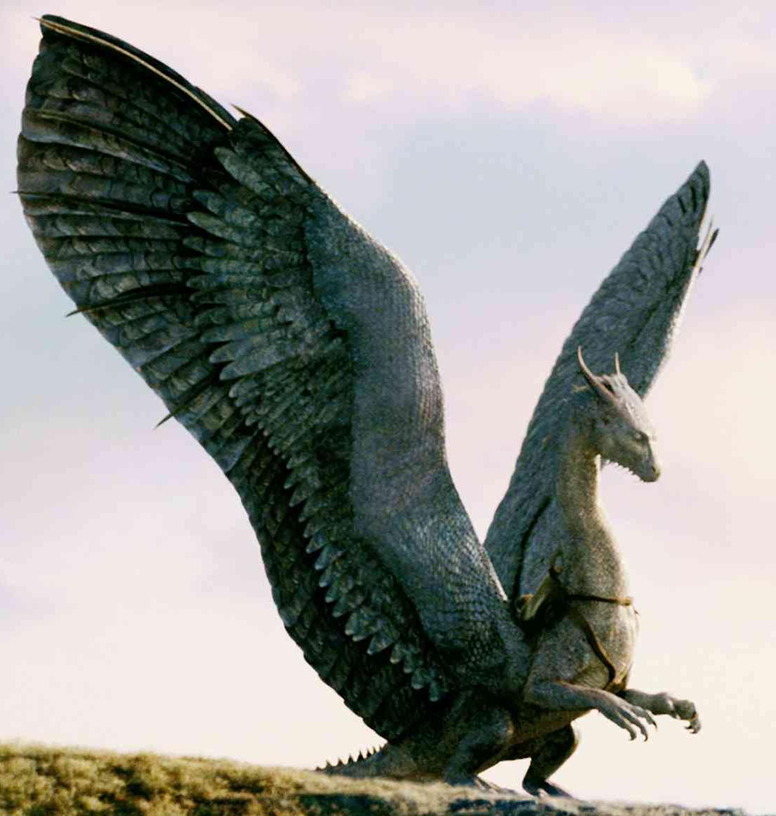 Saphira | Jaden&#039;s Adventures Wiki | FANDOM powered by Wikia