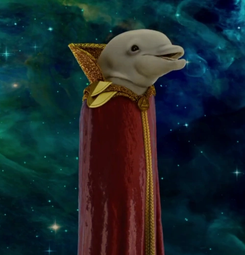 Bubbles the Dolphin Jaden's Adventures Wiki FANDOM powered by Wikia