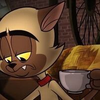 Chester The Cat Jaden S Adventures Wiki Fandom