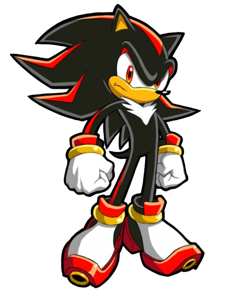 Shadow the Hedgehog | Jaden&#039;s Adventures Wiki | FANDOM powered by Wikia