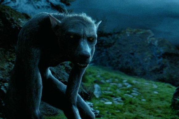 File:Remus-lupin-werewolf--large-msg-130956007302.jpg