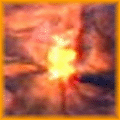 Ecored-1-