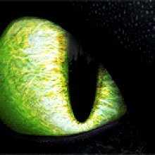 Https Encrypted Tbn0 Gstatic Com Images Q Tbn 3aand9gcrrny4hispjpn7iqs D Rcxemskjqzbfdkc W Usqp Cau