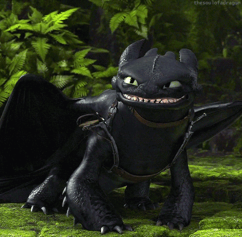 Plik:Szczerbatek-Toothless-arg.gif