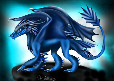 Animus