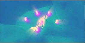 Snow Wraith Thermal Vision