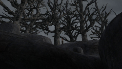 Loki Trees