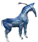 Konik