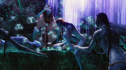 Consciousness