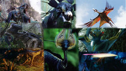 Fauna Pandora