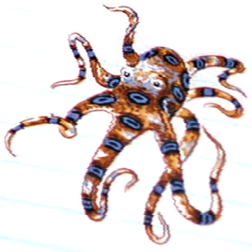 Octopus Cult James Bond Wiki Fandom