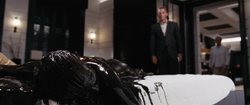 Casino Royale Hotel Casino Royale Hotel