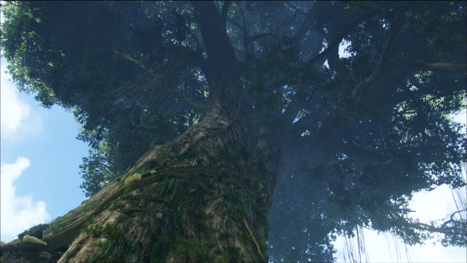 image hometree 3 hd png avatar wiki fandom powered by wikia