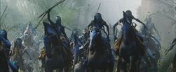 Na'vi Riders