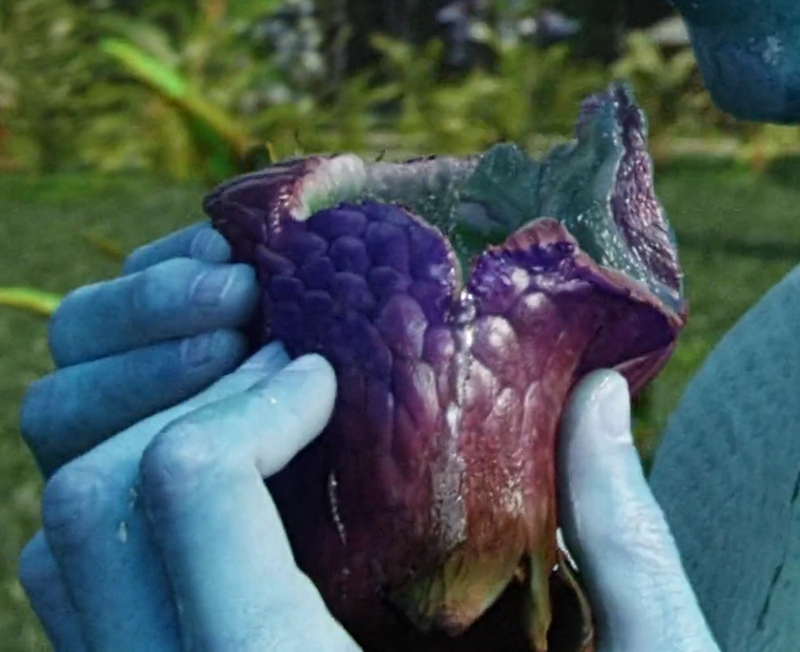 Na'vi Diet Avatar Wiki Fandom