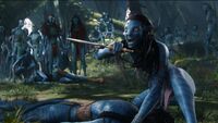 Neytiri3