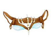 Rider's Mask