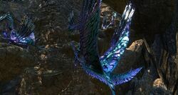 Vayaha Nesting Area