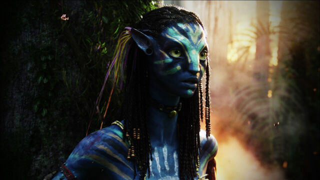 Image - Neytiri 10 HD.jpg | Avatar Wiki | FANDOM powered by Wikia