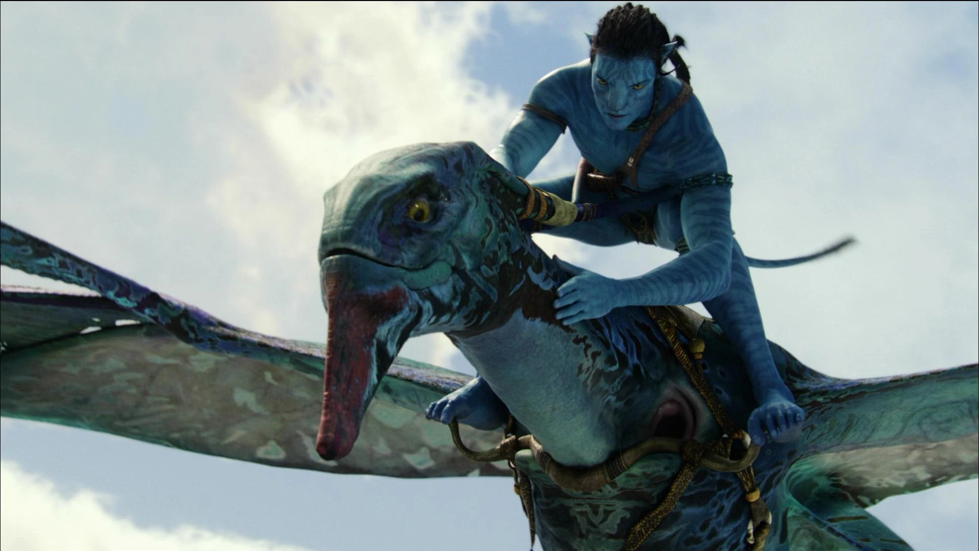 Image PDVD 3917.JPG Avatar Wiki FANDOM powered by Wikia