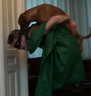 Doggy jetpack