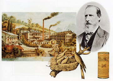 Heinrich Nestle